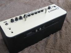 YAMAHA THR30Ⅱ+Line6Relay G10_2