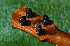 aNueNue AAA1 Soprano_6