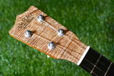 tkitki ukulele C-CUSTOM-CURLY MANGO Concert【S/N 1659】_5