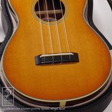 Collings UC-2 Indian SB (Spruce & Indian Rosewood)_10