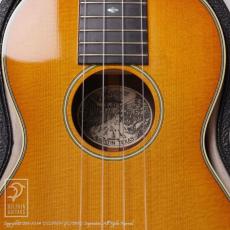 Collings UC-2 Indian SB (Spruce & Indian Rosewood)_11