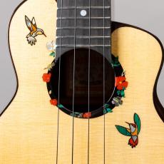 aNueNue aNN-US200HB_4