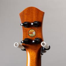 aNueNue aNN-US200HB_7