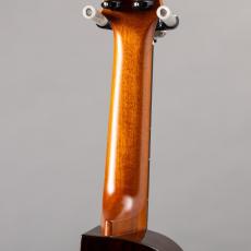 aNueNue aNN-US200HB_8