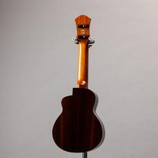 aNueNue aNN-US200HB_12