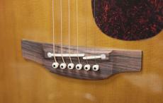 Takamine DMP761C TB_4