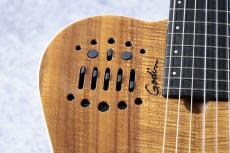 Godin ACS Nylon Koa Extream #24308525【エレガット】【シンセアクセス】_5