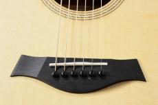 Taylor 【待望の入荷!】 Academy 10_6