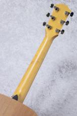 Taylor 【待望の入荷!】 Academy 10_8