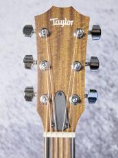Taylor 【待望の入荷!】 Academy 10_11