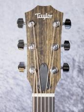 Taylor 【待望の入荷!】112ce-S_11