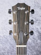 Taylor 214ce Walnut C-Class_11