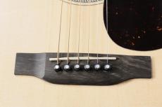 Martin GPC-16E Rosewood  #2984862【送料当社負担・無金利キャンペーン】_3
