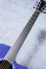 Morris CTM R-15K SBG【クロサワ楽器オーダー限定カラー】_10