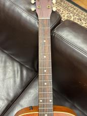 Art & Lutherie Legacy Q-Discrete Havana Brown _5