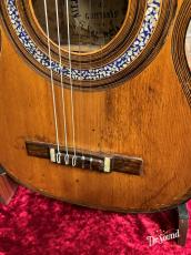 アレハンドロ・ロカ・イ・エルマノス　Alejandro Roca y Hermanos 1900年頃_9