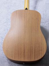 Taylor 【待望の入荷!】 Academy 10_3