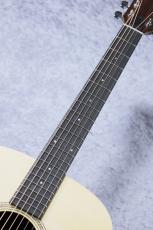 Taylor 【待望の入荷!】 Academy 10_7
