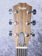 Taylor 【待望の入荷!】 Academy 10_11