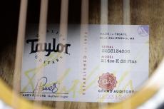 Taylor 【ハワイアン・コア仕様モデル!】214ce-K SB PLUS_10