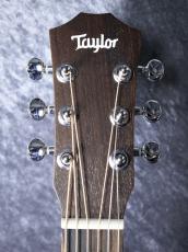 Taylor 【待望の入荷!】BT1 Baby Taylor_11