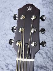 YAMAHA SLG200S / TBS_9