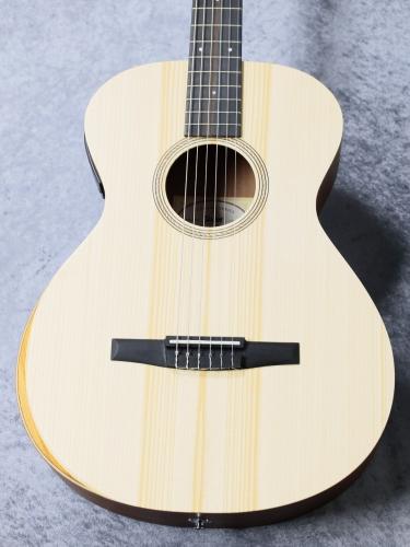 Taylor 【お取り寄せ商品】Academy12e-N