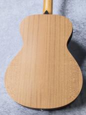 Taylor 【お取り寄せ商品】Academy12e-N_3