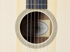 Taylor 【お取り寄せ商品】Academy12e-N_5