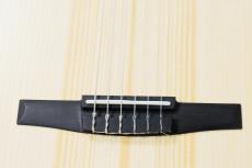 Taylor 【お取り寄せ商品】Academy12e-N_6