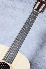 Taylor 【お取り寄せ商品】Academy12e-N_7