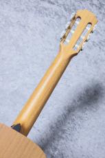 Taylor 【お取り寄せ商品】Academy12e-N_8