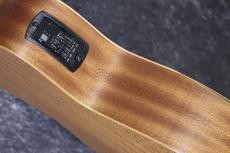 Taylor 【お取り寄せ商品】Academy12e-N_9