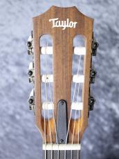 Taylor 【お取り寄せ商品】Academy12e-N_11