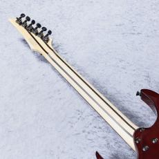 Ibanez RG8870 【BSR (Brownish Sphalerite)】「現物写真」SPOTモデル 今なら高級シールド(Ibanez GL10)プレゼント_7
