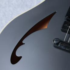 EVH SA-126 Special 「Stealth Black」「メーカーアウトレット特価品」_4