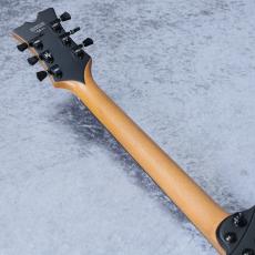 EVH SA-126 Special 「Stealth Black」「メーカーアウトレット特価品」_8