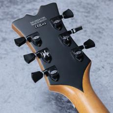 EVH SA-126 Special 「Stealth Black」「メーカーアウトレット特価品」_10