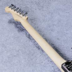 Charvel PRO-MOD SAN DIMAS STYLE 1 HH FR M Chameleon_8