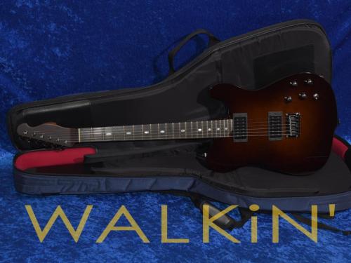 Westville Westel Standard