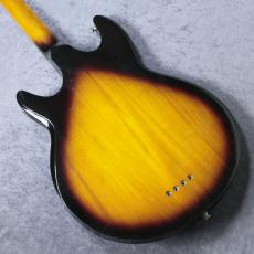 Aria Pro II LB-650 【1981年製】【4.50kg】_10