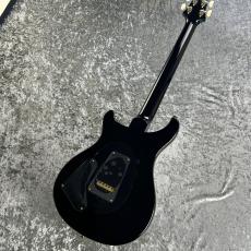 Paul Reed Smith [PRS] 【2024年製中古】Special Semi Hollow Faded Whale Blue 10TOP【3.02kg】_10