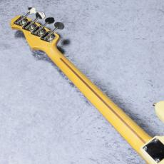 HISTORY SZ-P1 - Vintage White - 【4.00kg】_9