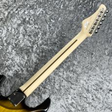 FUJIGEN Expert ODYSSEY EOS2-ASH-M/2TSU ~2Tones Sunburst~ #H240129 [3.33kg]_9