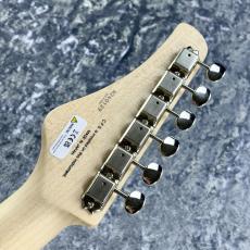 FUJIGEN Expert ODYSSEY EOS2-ASH-M/2TSU ~2Tones Sunburst~ #H240129 [3.33kg]_11