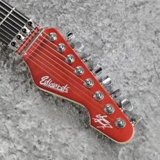 Edwards E-SNAPPER-8 ISAO Custom_5