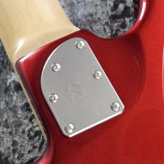 Edwards E-SNAPPER-8 ISAO Custom_9