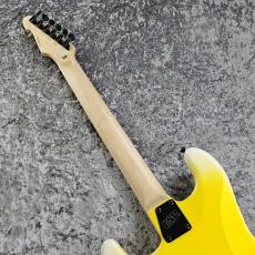 Edwards E-YELLOW TIGER_7