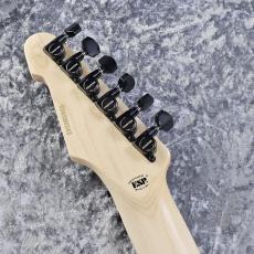 Edwards E-YELLOW TIGER_8