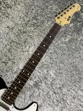 FUJIGEN Basic Classic Series BCTE100RBD-BK ~Black~ #D240043【3.22kg】_4